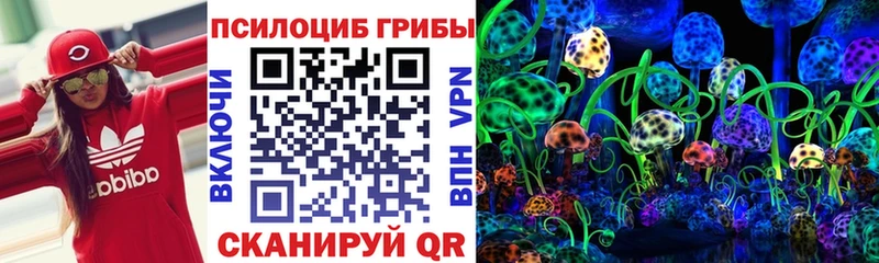 Псилоцибиновые грибы Psilocybe  Нововоронеж 