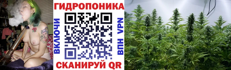 закладки дарк нет телеграм Бошки марихуана Ganja Нововоронеж